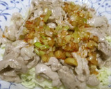 驚愕レシピNo.16 細切り豚肉の辛旨丼作り方15写真
