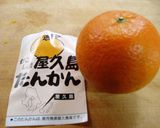 甘い香りのたんかんの皮のマーマレード風作り方1写真