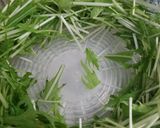 豆腐deガチツナ水菜サラダ作り方2写真