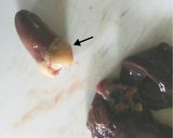 簡単☆鶏レバーの下処理の方法作り方2写真