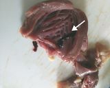 簡単☆鶏レバーの下処理の方法作り方5写真