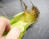 簡単！とうもろこしの皮むき☆裏技作り方4写真