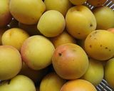 【10％】減塩梅干し【お酢】作り方1写真
