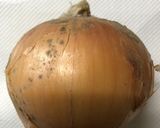 玉ねぎスライス、どう作る？って(*_*)作り方1写真