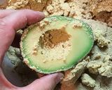 アボカドの漬物作り方3写真