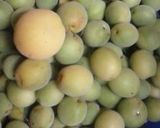 梅酢味噌作り方2写真