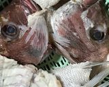 鯛のあら炊き！ごぼうと卵の付け合わせ作り方3写真