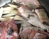 鯛のあら炊き！ごぼうと卵の付け合わせ作り方6写真