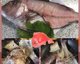 アラ♪おコゲも絶品！鯛おこわ♪作り方1写真