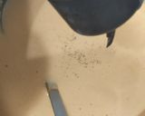 冷たいトマトのポタージュスープ作り方6写真