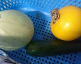 ズッキーニのマリネ♪(和風？)作り方7写真