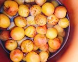 梅干し作り方5写真