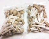 きのこの栄養、旨み保存法☆日持ち作り方3写真