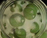 必見絶対成功する梅シロップの作り方。作り方4写真