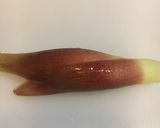 わかめの酢の物作り方11写真