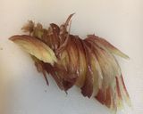 わかめの酢の物作り方14写真
