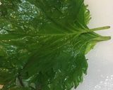 わかめの酢の物作り方15写真