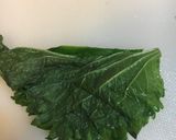 わかめの酢の物作り方18写真