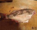 ウスメバルの刺身作り方4写真