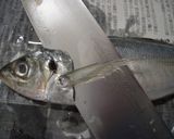 ヒレぴんっ♪元気姿♪鯵のたたき作り方1写真