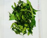 狭山茶 生茶葉 レンジで緑茶!作り方3写真