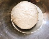 古代小麦で炭酸水ナン(動画あり)作り方6写真