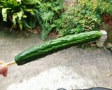 簡単美味しい浅漬のもと！作り方8写真