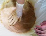 家んちのうりの奈良漬け♪作り方21写真