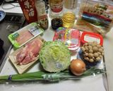 【私的メモ】チーズタッカルビ作り方13写真