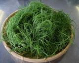 山形の伝統野菜 オカヒジキのかき揚げ作り方1写真