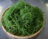 山形の伝統野菜 オカヒジキのかき揚げ作り方1写真