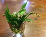 蓼酢（たでず）ソース　（鮎のパスタ用）作り方2写真