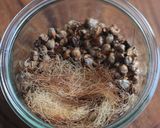 フードドライヤーで自家製！とうもろこし茶作り方5写真