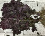 雑な男料理：濃縮な紫蘇ジュース①作り方1写真
