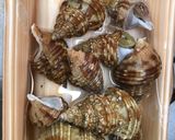 灯台つぶの酒蒸し作り方1写真