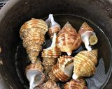 灯台つぶの酒蒸し作り方2写真