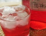 梅とすもものミックスジュース作り方10写真