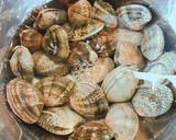 簡単！レンジで作る あさりの酒蒸し作り方1写真
