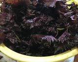 梅仕事 減塩梅干し作り方14写真