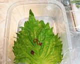 大葉のピリ辛ご飯のお供作り方3写真