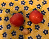 簡単 早い さくらんぼの種取り作り方4写真