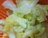 簡単過ぎるキャベツ即席漬け作り方3写真