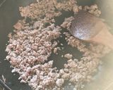 じゃがいもとナスのチーズカレー炒め作り方2写真