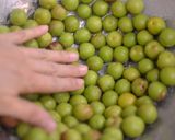 カリカリ小梅の漬け方作り方4写真