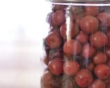 カリカリ小梅の漬け方作り方11写真