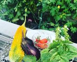 夏野菜で揚げ浸し作り方2写真