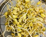 自家栽培！発芽大豆から豆もやし作り方8写真