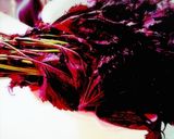 赤紫蘇酢ジュース☆作り方1写真