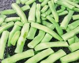 インゲン豆とツナの炒め物作り方1写真