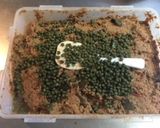 キャベツの床漬け・糠漬～乳酸菌で腸活！作り方3写真